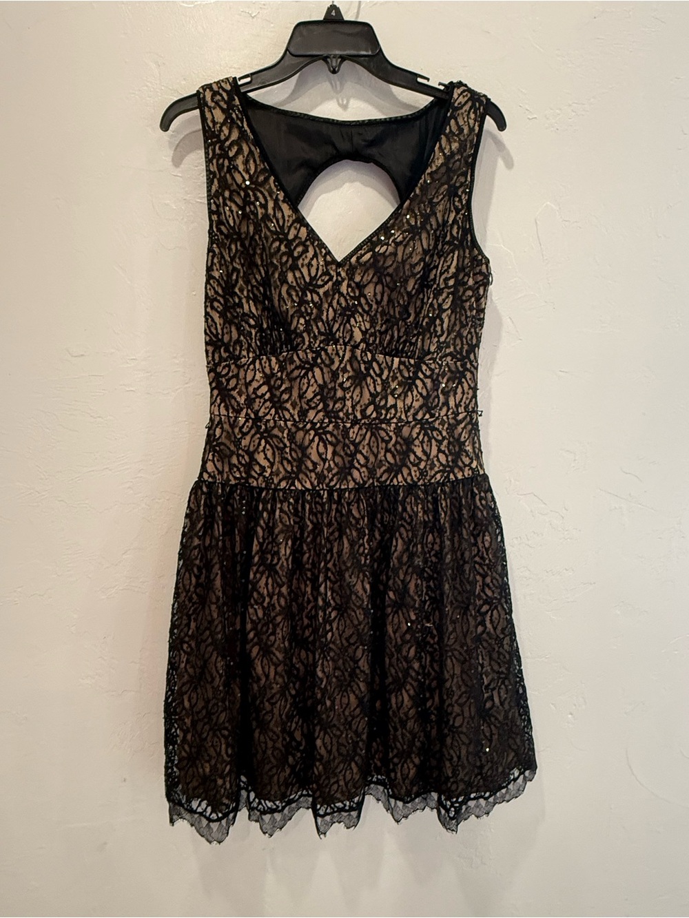 Black Lace V-Neck Mini Dress with Nude Lining
